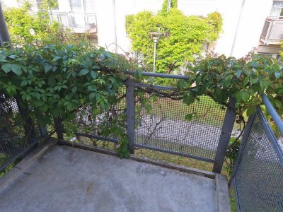 teilmöbliertes Appartement - für Studenten und junge Arbeitnehmer