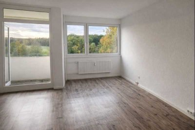 Renovierte 1-Zimmer Wohnung sofort Bezugsfrei