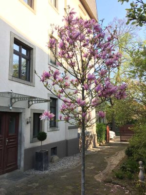 Ruhige, helle 2-Raumwohnung mit großem Südbalkon