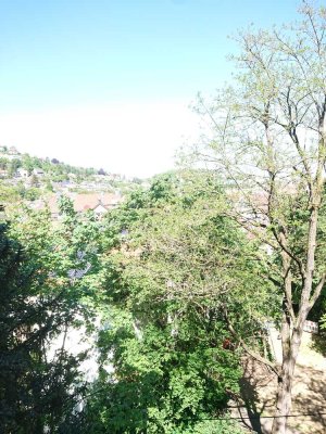 Altbauwohnung in denkmalgeschütztem Gebäude