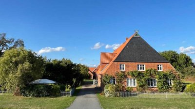 Elbtalaue: Gepflegter Resthof in direkter Deichlage mit Elbblick