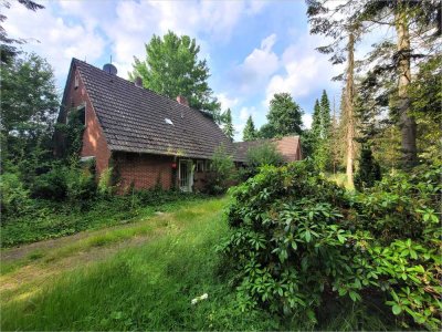 Viel Ruhe und viel zu tun! Einfamilienhaus mit Nebengebäude auf idyllischen Grundstück