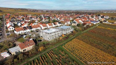 Neubau-Penthouse mit XL-Dachterrasse – 3-Zimmer-Eigentumswohnung in Sausenheim