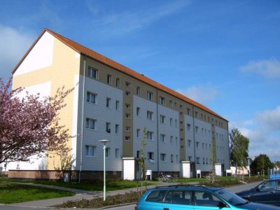 3 Raum Wohnung in Tribsees
