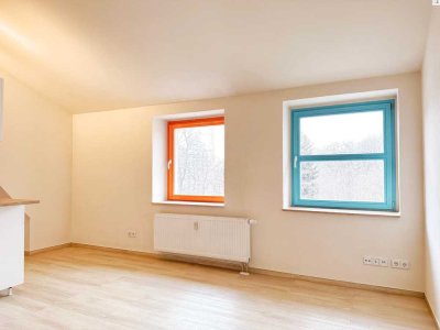 www.gz-i.de: Nur für Azubis und Studenten! Sonniges Dach-Apartment mit Badewanne und EBK