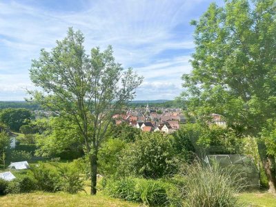 Idyllisches Haus am Südhang: Viel Raum, Charme und unverbaubarer Blick