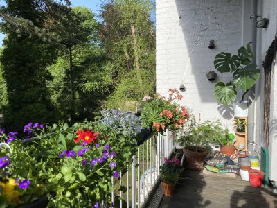 2-Zimmer Wohnung mit Balkon und Garten im Frankenberger Viertel