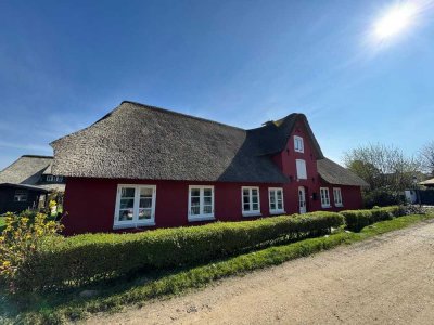 Reetgedecktes Friesenhaus in Nebel
