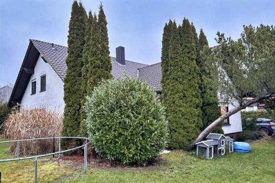 Ihre Suche hat ein Ende - Schweinfurt Hochfeld - Top Energiewerte