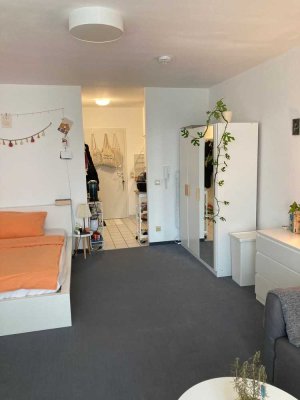 großes 1-Zimmer-Appartement Bergstr. Dossenheim/Heidelberg