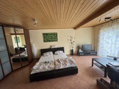 Freundliche 1-Zimmer-Wohnung in Bechtolsheim