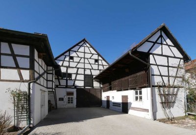 Typisch fränkisch! Wohn- und Geschäftshaus mit Scheune in Strullendorf-Amlingstadt