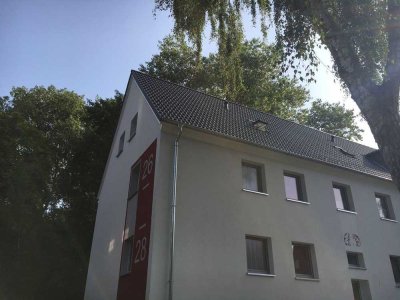 Komplett renovierte 2,50-Zimmer-Wohnung mit Balkon
