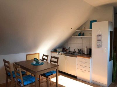Helle, ansprechende 1-Raum-DG-Wohnung in Edenkoben