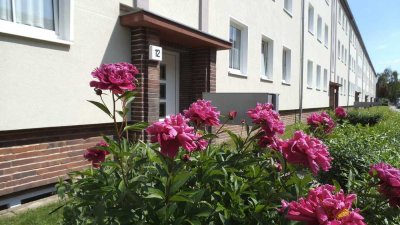 2-Raum Wohnung / 41 m² / Stadtfeld West