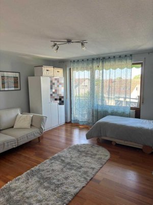 1-Zimmer Wohnung mit Balkon in Uhldingen-Mühlhofen