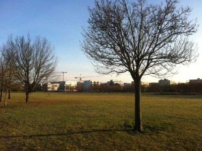 BLICK IN DEN WIESENPARK - Lichtdurchflutete 2 -Zimmer-Wohnung mit großer Terrasse