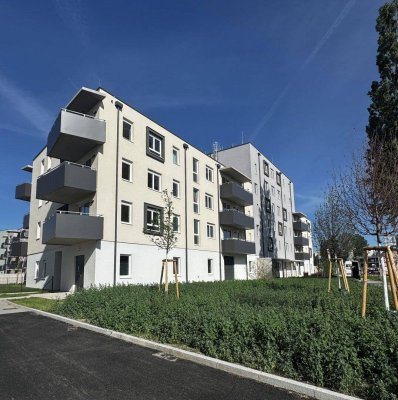 ERSTBEZUG im „ein viertel grün“ in Wiener Neustadt – 3-Zimmer-Wohnung mit Balkon und Wohlfühlcharakter