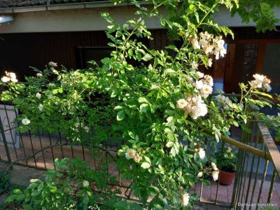 Wohnung über zwei Etagen mit Garten, zwei Balkonen und Garage – Ihr neues Zuhause in Reichenberg