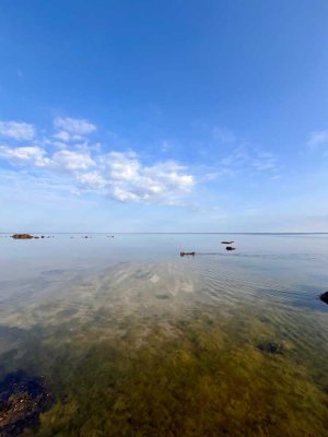 Ostseeparadies für Natur- und Tierfreunde - sanierungsbedürftiges Bauernhaus auf Traumgrundstück
