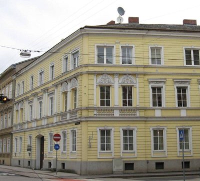 Charmante Innenstadtwohnung - komplett saniert!