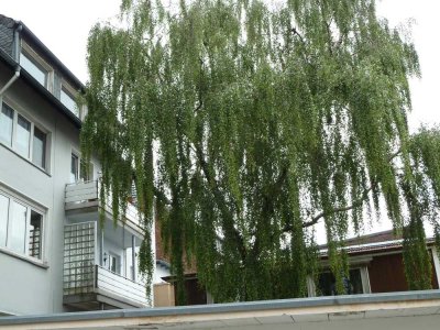 Familiengeeignete Wohnung im Stadtzentrum