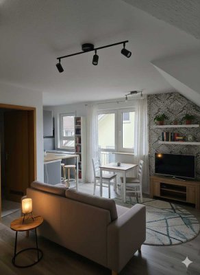 Helles Einzimmer Appartment im Dachgeschoss - ideal für Singles, Studierende
