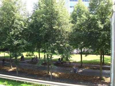 Wohnen direkt an der Promenade