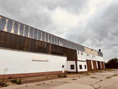 BEEINDRUCKEND 10.000qm Grundstück, 250qm Wohnfläche und 1.000qm Lagerhalle/Werktatt