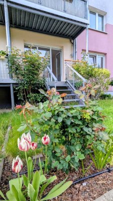 Frisch renovierte 2-Zimmer-Wohnung mit Balkonterrasse, Garten & Stellplatz in zentraler Lage