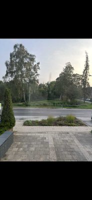 Wunderschöne, frisch renovierte 3-Zimmer-Wohnung in Lübeck – mit Blick auf den Teich!