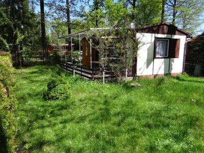 Ihr Ferienbungalow im Wald, ruhig, grün am Stausee Quitzdorf