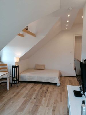 Stilvolle 1-Raum-DG-Wohnung in Gachenbach