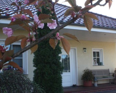 Ihr neues Zuhause! Wunderschönes Einfamilienhaus auf einer Etage mit großem Garten!