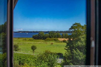 SCHLEIBLICK- viel Glas- modernes Innendesign- Sackgasse