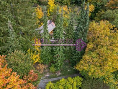 Wohnen am Schneckenberg – wo Geschichten leben und Privatsphäre selbstverständlich ist.