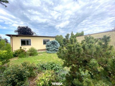 Kottingbrunn in sehr guter Lage: 798m² Grundstück, 84m² Wohnfläche, 4 Zimmer, renovierungsbedürftig