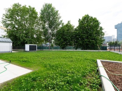 4-Zimmer-Wohntraum samt 35m² Kellergeschoß und großem Garten am Wasser in 1220 Wien zu verkaufen