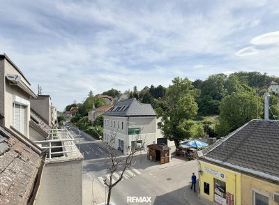 Nächster Halt: Kritzendorf!