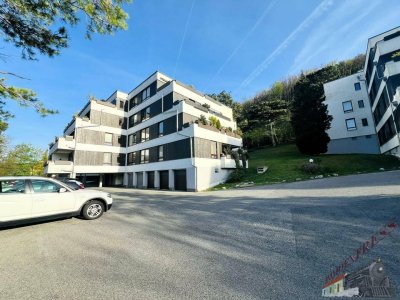 Traumjuwel modern renoviert! Gemeinschaftsbereich bietet: Sauna und Swimmingpool - Nutzung!