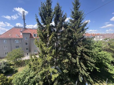 Einzimmerwohnung in ruhiger Seitengasse nähe Traisen
