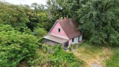 Ehemalige Gärtnerei mit Wohnhaus am Waldrand in Dessau-Kochstedt