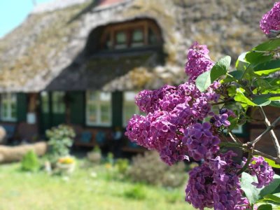 Denkmalgeschütztes Bauernhaus mit viel Land und Bauland für ein zweites Haus auf gleichem Grundstück