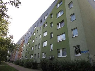 Große 3-Raum-Wohnung in der Burgbreite