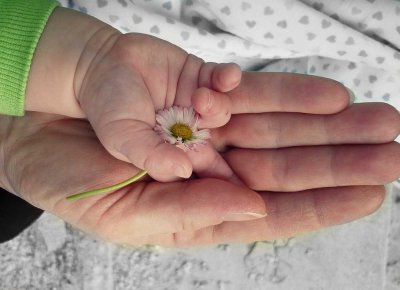 Das Familienleben mit großen Garten genießen!