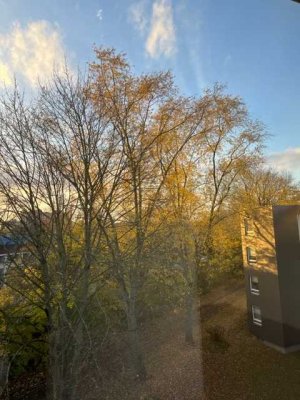 Schöne, helle, renovierte 3 Zi.-Wohnung in Garath