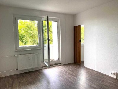 Wohnung mit Schlafnische und Balkon