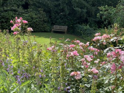 Gartenparadies im Rodenkirchener Auenviertel / 3-Zimmer-Wohnung mit Garten zur alleinigen Nutzung