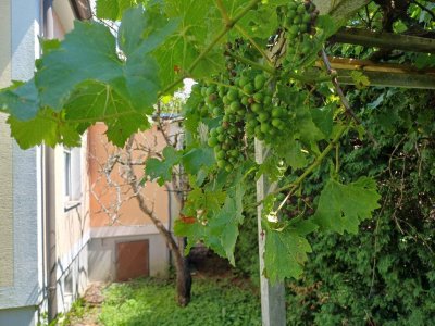 Landhaus Charme 7 ZI, Balkon- herrliche Aussichtslage zum Hochwechsel, 3 Garagen