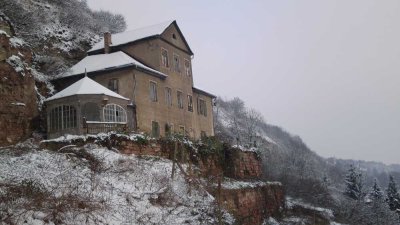 Weinbergvilla im Großjenaer Blütengrund mit 4,7 ha Grundstück und Weinbergen direkt an der Saale